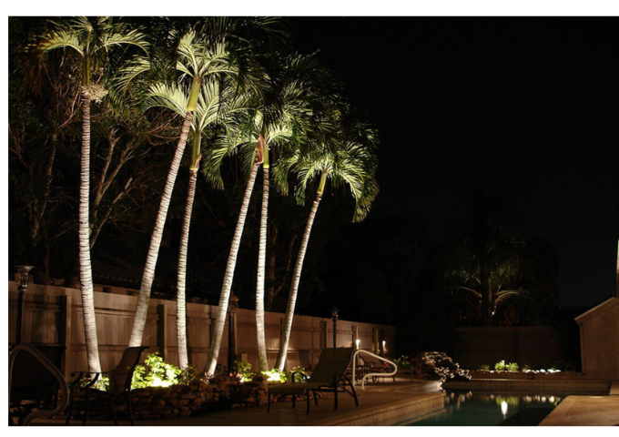 tree uplighting project in dubai