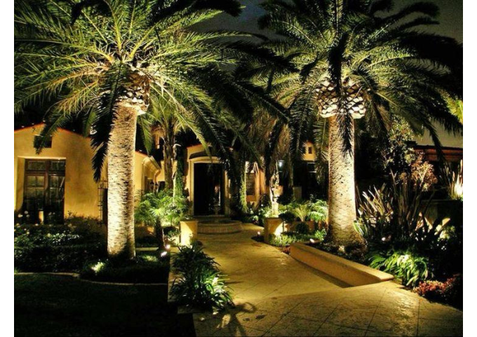 villa palm tree decoration