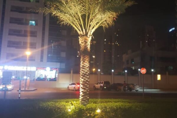 palm tree ring light_dubai_uae_by newon