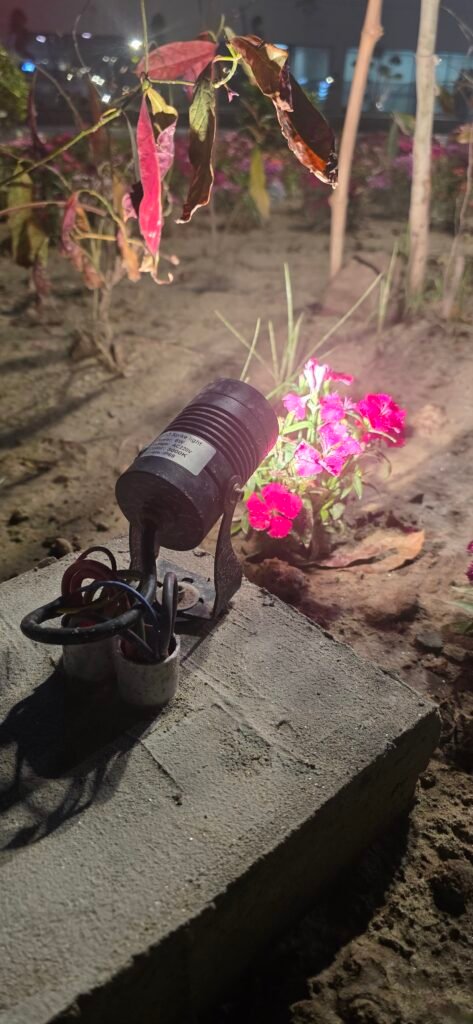 spot light in pakistan