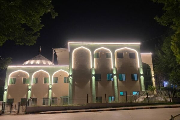 dome & cornices lighting-newon project