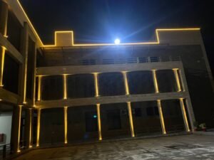 president house facade lighting-newon project