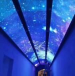 Galaxy printed stretch fabric ceiling
