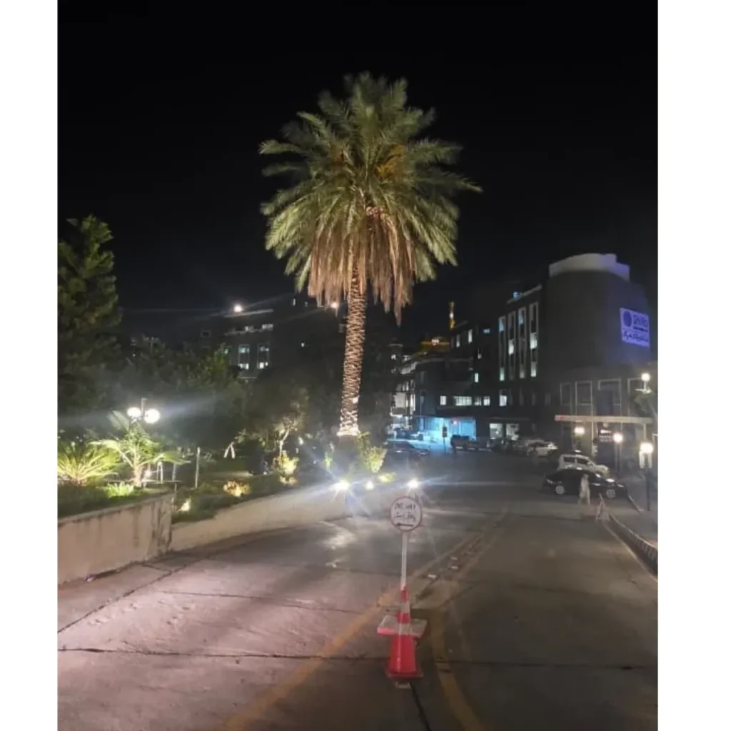 Custom bollard and tree lighting project by Newon in H-8 Islamabad